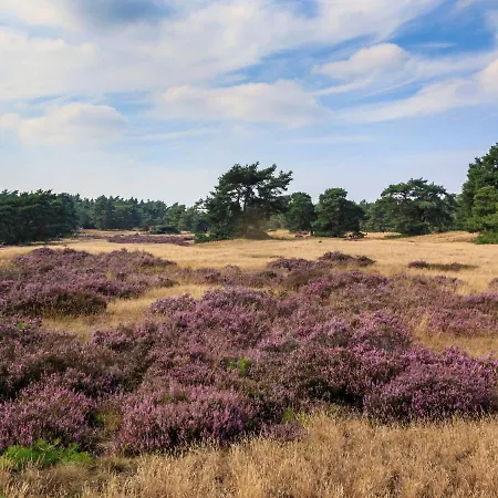 Veluwelodge 4p Holiday home Voorthuizen